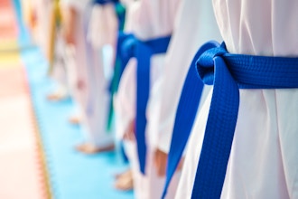 Blue Belt Karate